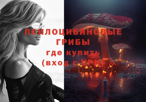 бутират Пестово