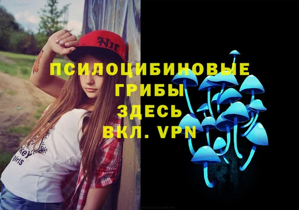 mix Абаза